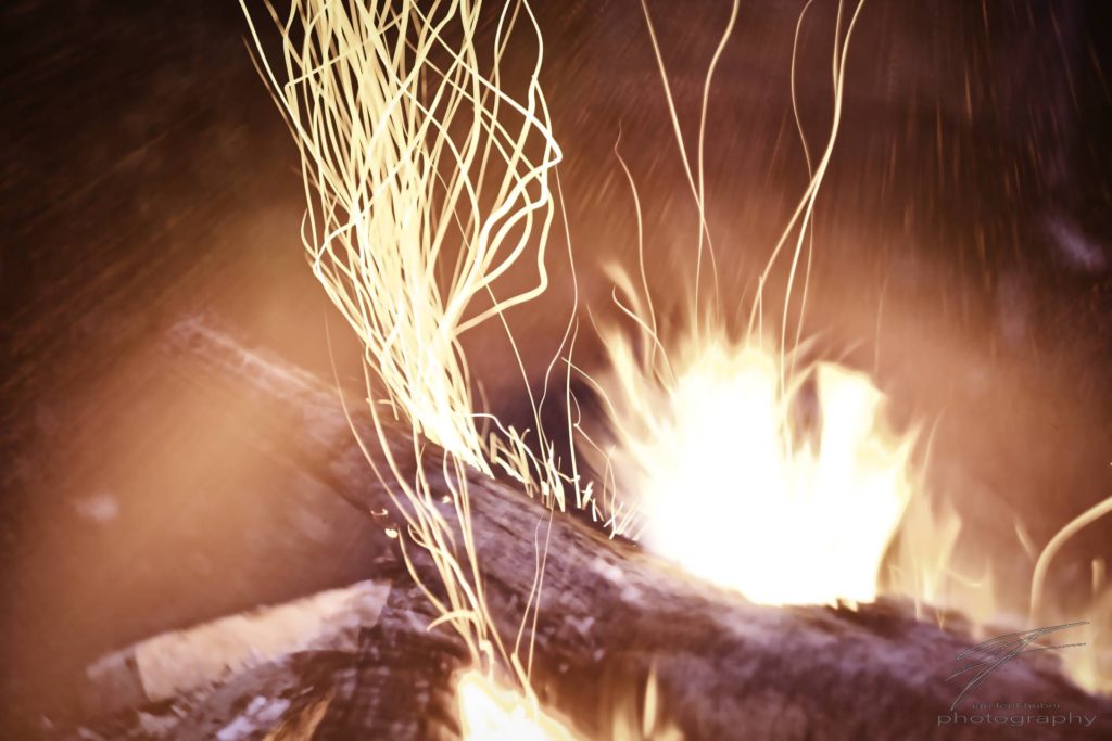 Grown from Fire