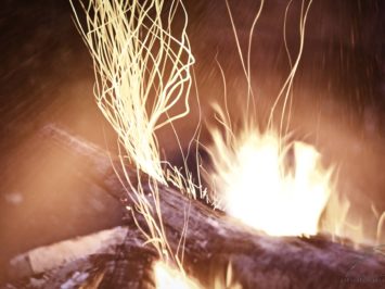 Grown from Fire