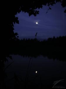 Moon on the River