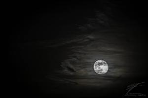 Cloudy Moon