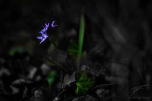 Out of the Dark