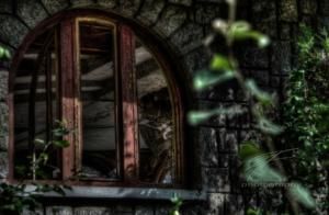Through the Window