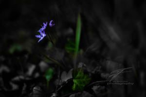 Out of the Dark