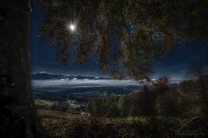 Wald, Zurich