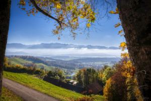 Wald, Zurich
