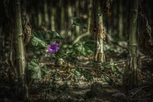 Sheltered