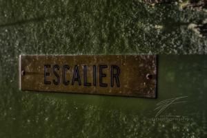 Escalier (Stairs)