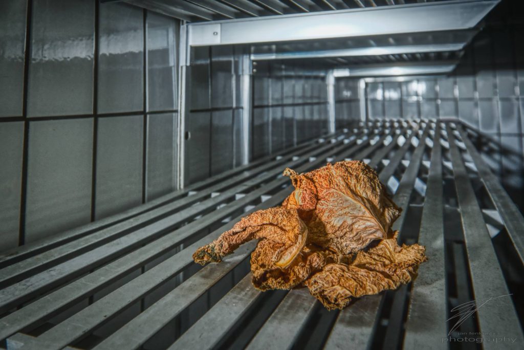 Crispy Cabbage